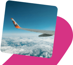 Flight illustration